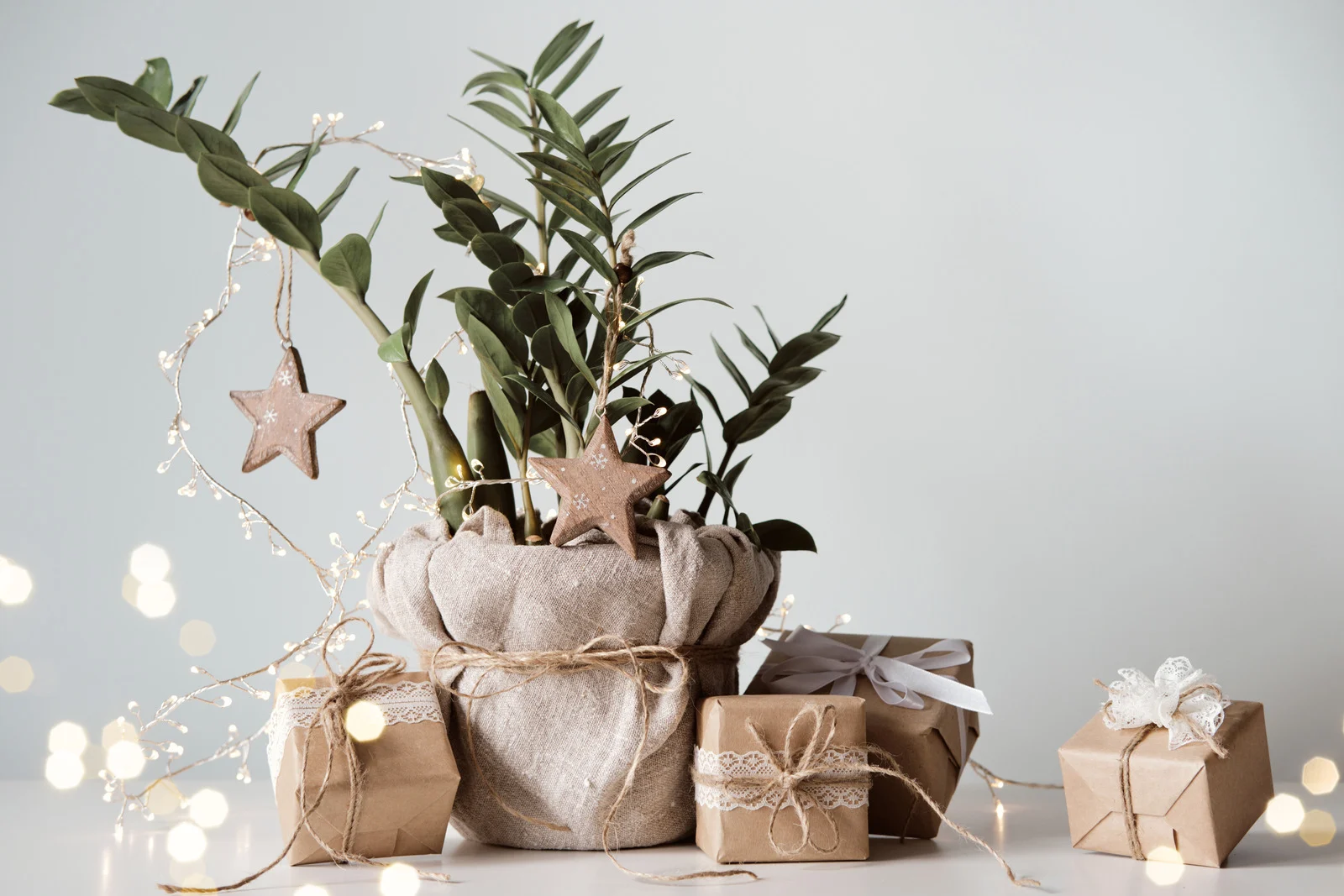 Eco-friendly Christmas Gifts