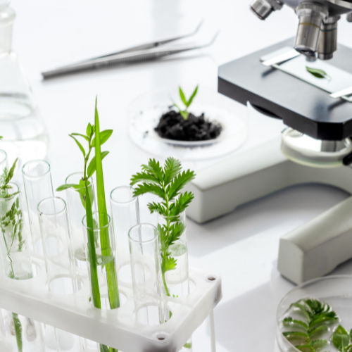 Biologist researching plants with microscope in biological chemistry lab