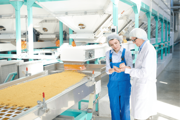 High-Standard Food Processing