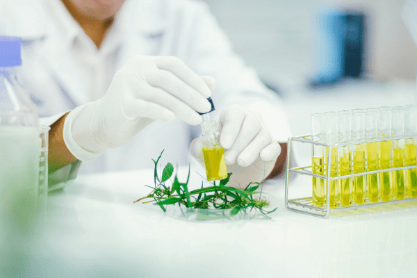 Ayurveda Banner Portrait