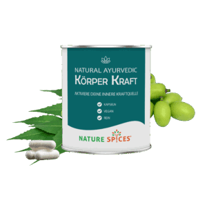 Ayurvedic Healthcare - Body Power